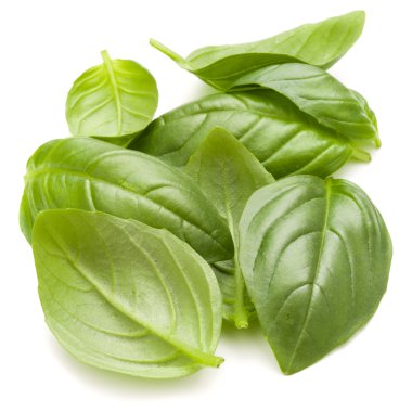 Fesleğen yaprakları yığını 