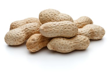 Fıstık Kruvazörlerin de arachis 