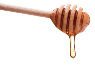 Bir bal ayı damlayan bal 