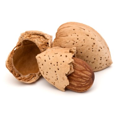 Kabuk ve kabuklu badem