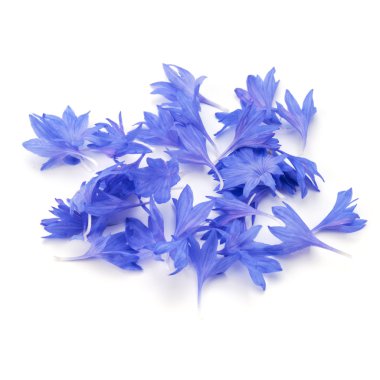 Mavi Peygamber yaprakları 