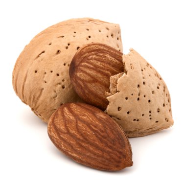 Kabuk ve kabuklu badem