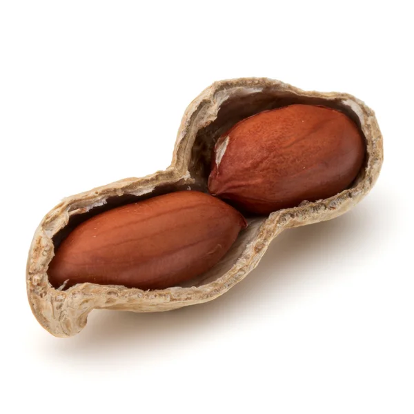 Amendoins abertos ou vagem de amendoim — Fotografia de Stock