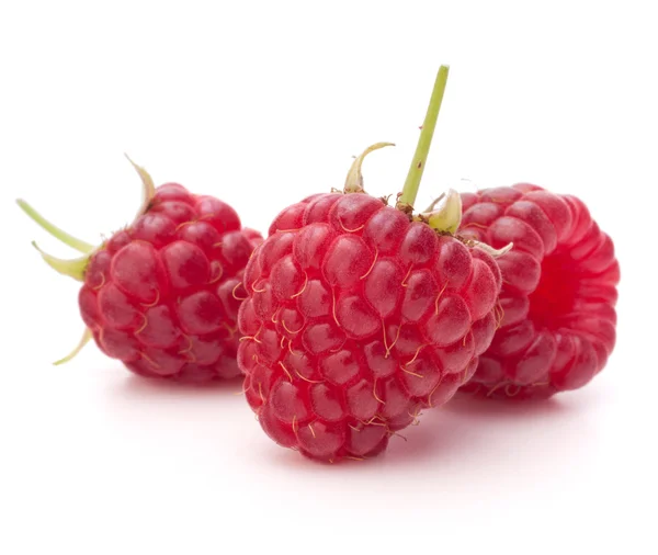 Süße rote Himbeeren — Stockfoto