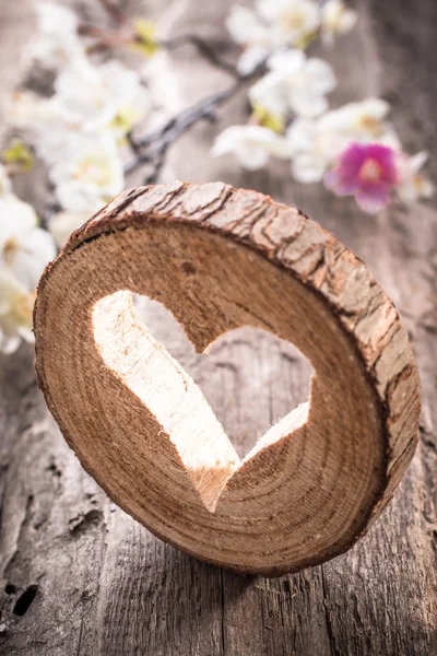 Kształt serca na drewnie — Zdjęcie stockowe