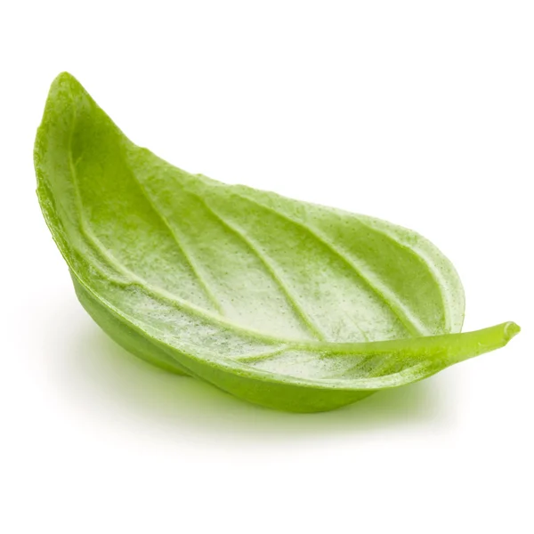 Fresh basil leaf — Stock Photo, Image