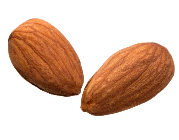 Amandes sèches — Photo