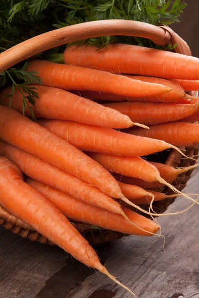 Carottes fraîches dans le panier — Photo