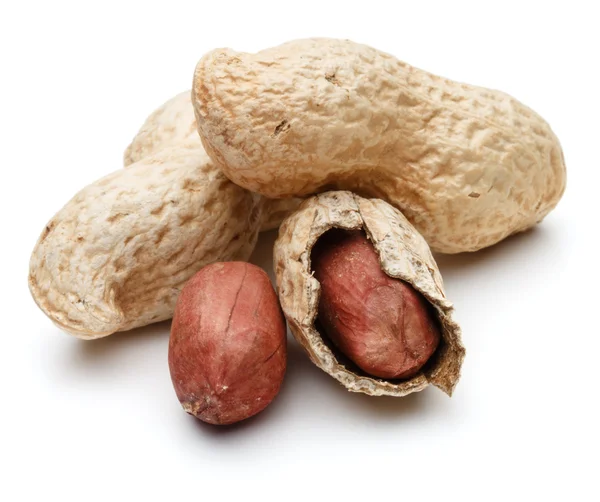 Peanut pods or arachis — Stock Photo, Image