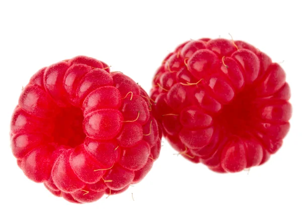 成熟的红树莓 — 图库照片
