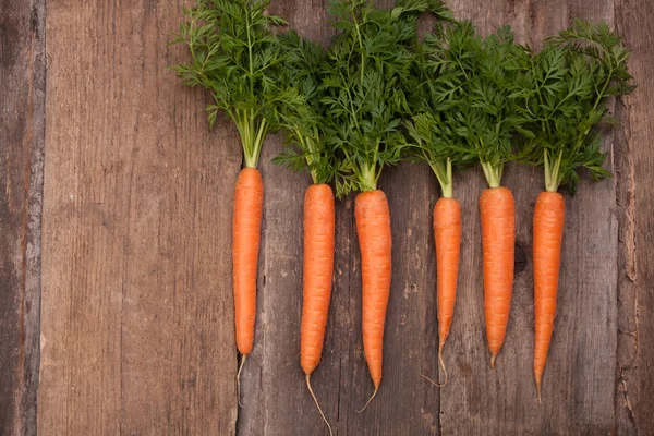 Manojo de zanahorias frescas — Stockfoto