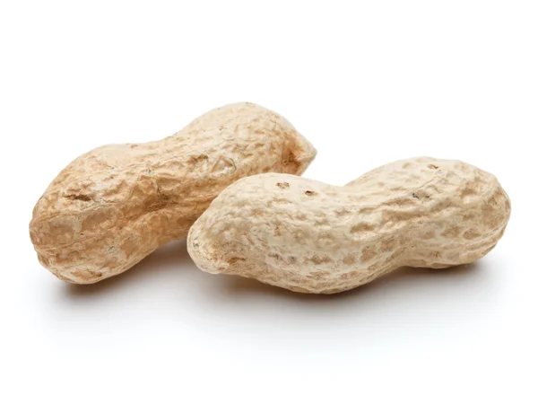 Vagens de amendoim ou arachis — Fotografia de Stock