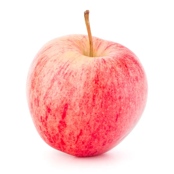 Färskt rött äpple — Stockfoto