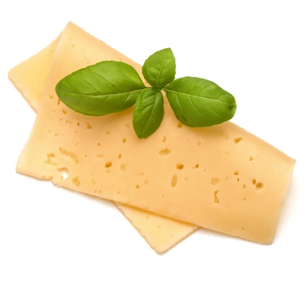 Cheese slice and basil — Stock Photo, Image