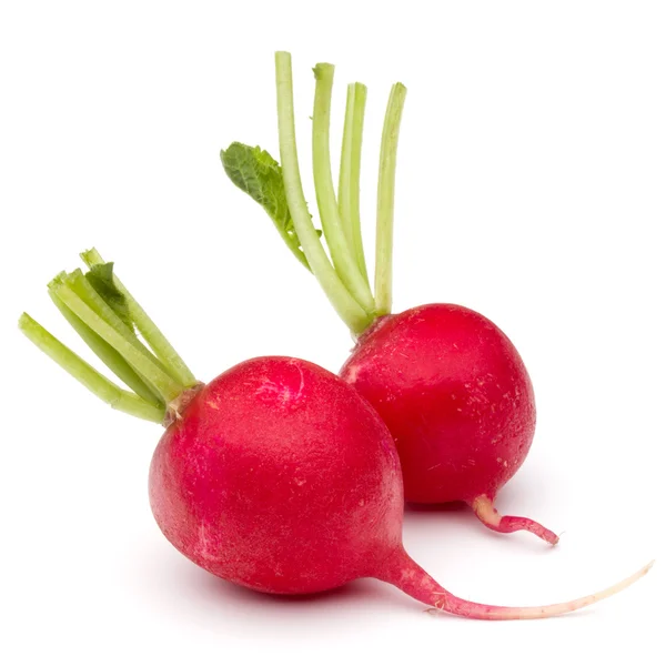 Small garden radishes — Stock Photo, Image