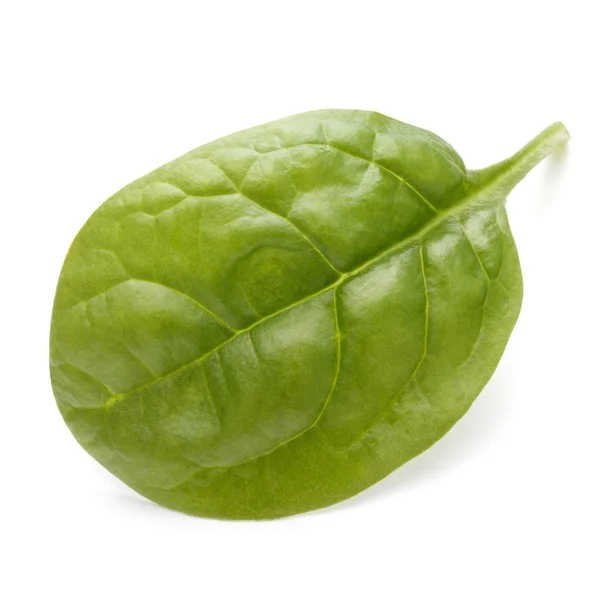 Hoja de espinaca bebé — Foto de Stock