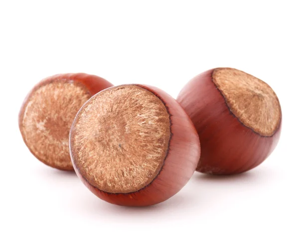 Hazelnuts or filbert nuts — Stock Photo, Image