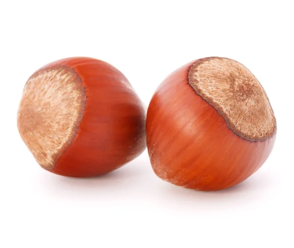 Hazelnuts or filbert nuts — Stock Photo, Image