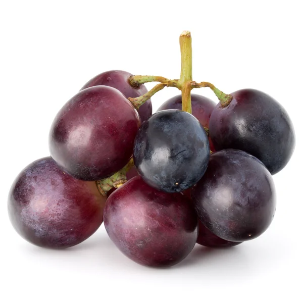 Bagas de uva vermelha — Fotografia de Stock