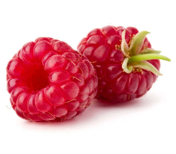 Reife rote Himbeeren — Stockfoto