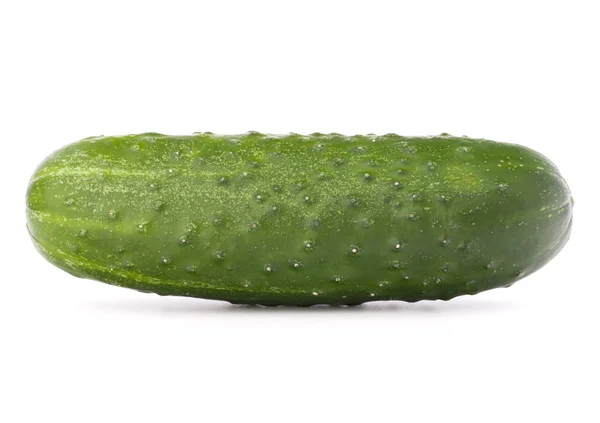 Un pepino fresco —  Fotos de Stock