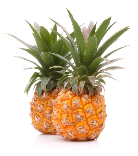 Two fresh pineapples — Stock Photo, Image