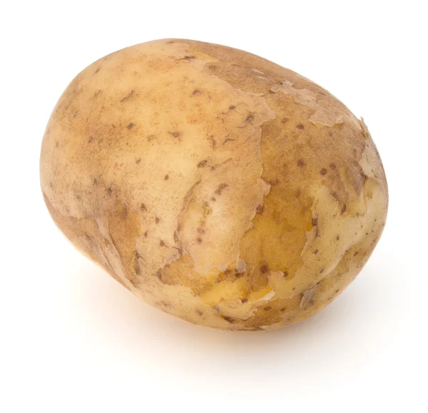Нові картоплі Бульба — стокове фото