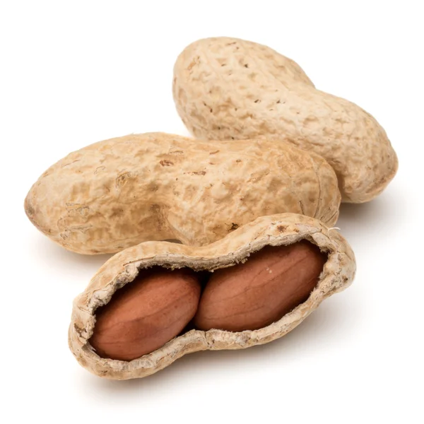 Peanut or groundnut pods — Stock Photo, Image