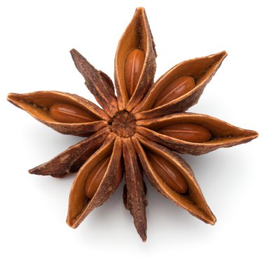 yıldız anason baharat 