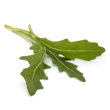 roka salata yaprakları