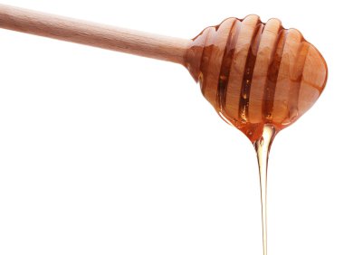 Bir bal ayı damlayan bal