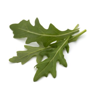 roka salata yaprakları