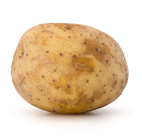 Один картофельный клубень — стоковое фото