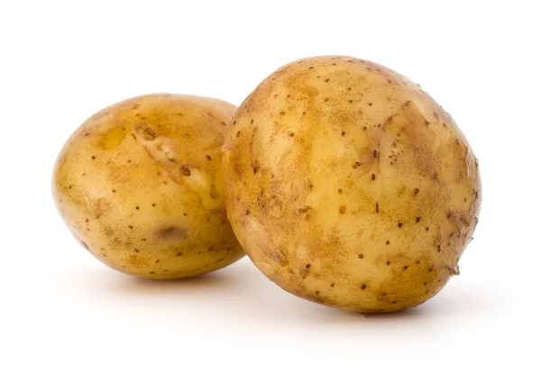 Два картофельных клубня — стоковое фото