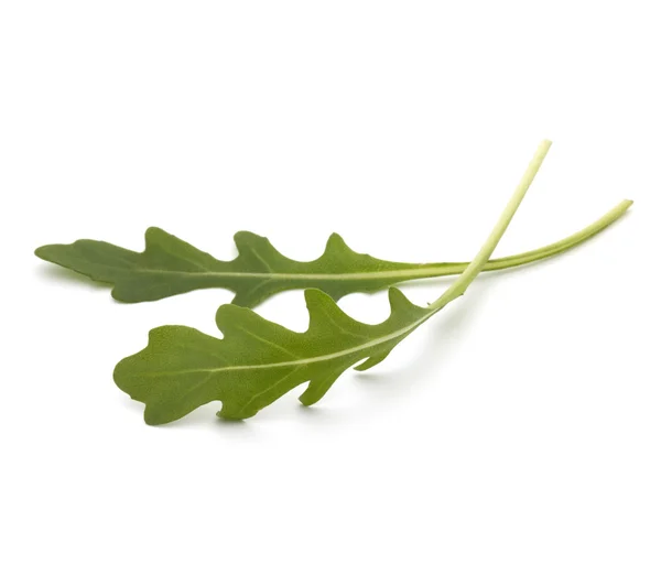Folhas de salada de arugula — Fotografia de Stock