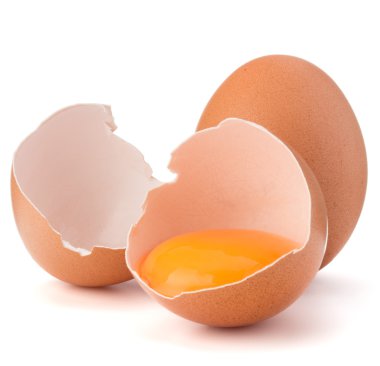 Kırık yumurta yumurta kabuğu 