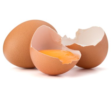 Kırık yumurta yumurta kabuğu 