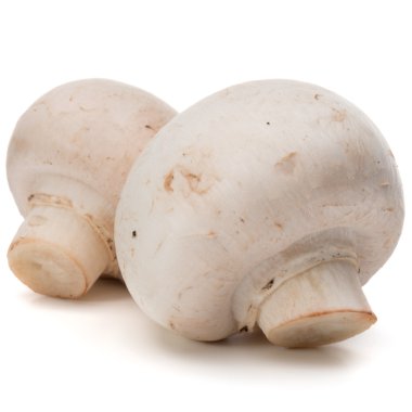 beyaz üzerine taze petrol 