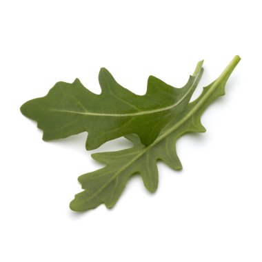 roka salata yaprakları