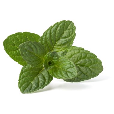 Taze nane yaprakları