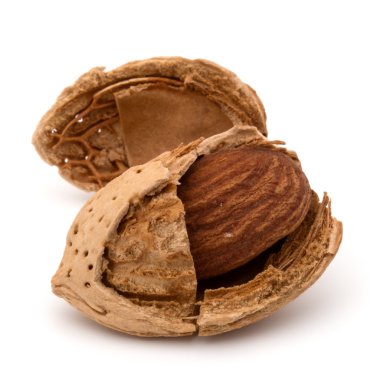 Badem fındık kabuğu 