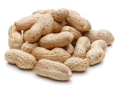 Beyaz Fıstık kabukları