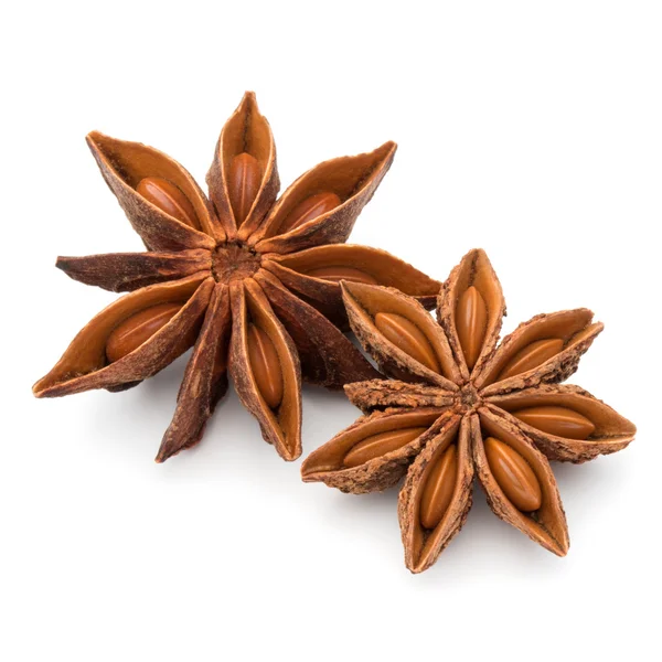 Star anise spice — Stock Photo, Image