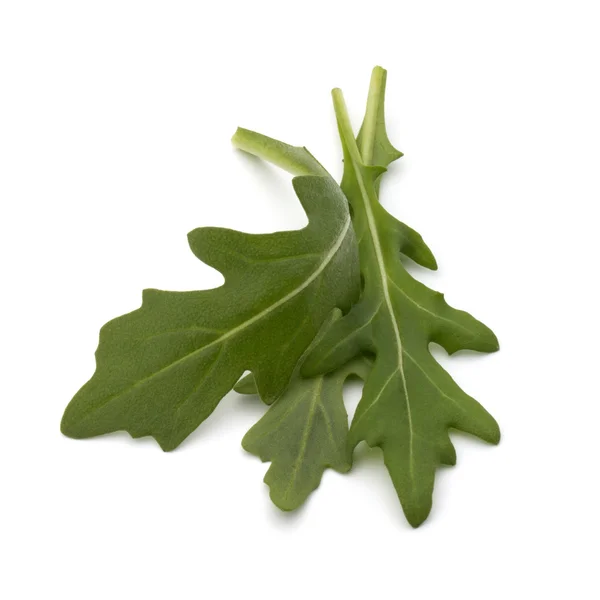 Ensalada de rúcula hojas —  Fotos de Stock