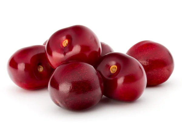 Cerezas frescas maduras — Foto de Stock