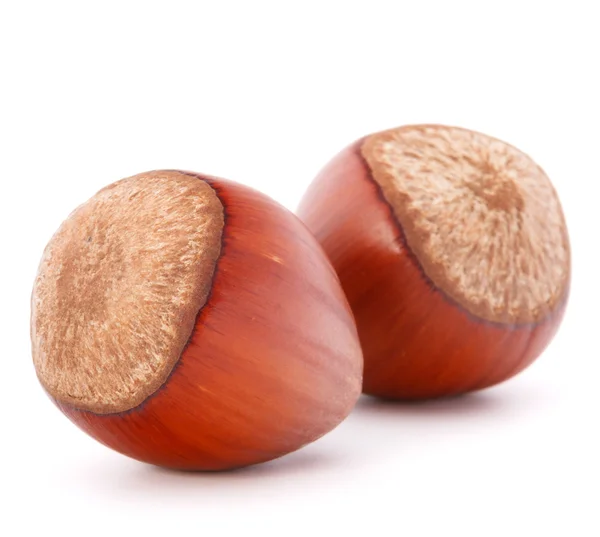 Two hazelnuts on white — Stock Photo, Image