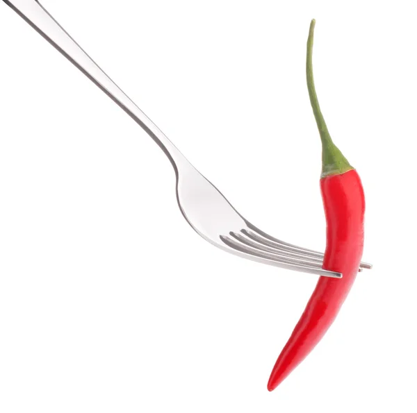 Chili Pepper på gaffel – stockfoto