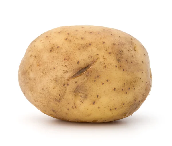 En potatis rotsaker — Stockfoto