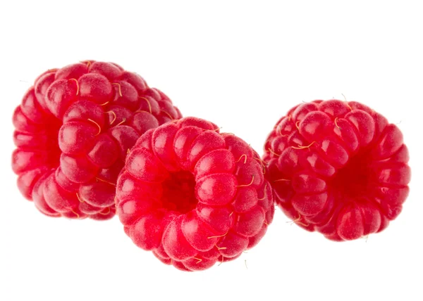 三红树莓 — 图库照片
