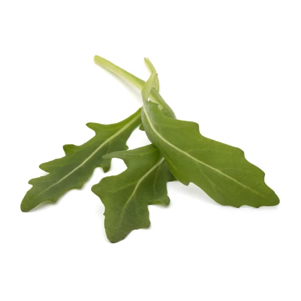 Ensalada de rúcula hojas — Foto de Stock